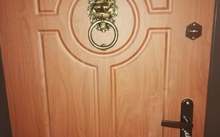 дверь металлическая с мдф оборудована декоративной стучалкой